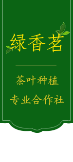 潮州市潮安區文祠飛鵝山茶葉種植專業合作社